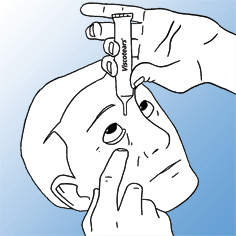 image1.png