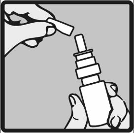image1.jpeg