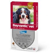 BAYVANTIC VET Koirille 40-60 kg 600 mg/3000 mg paikallisvaleluliuos 4x6 ml