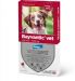BAYVANTIC VET Koirille 10-25 kg 250 mg/1250 mg paikallisvaleluliuos 4x2,5 ml