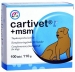 Cartivet + MSM 100 tabl.