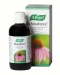 A. Vogel Echinaforce 100 ml