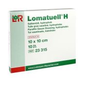 Lomatuell H rasvaside 10 x 10 cm 10 kpl