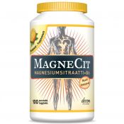 MagneCit magnesiumsitraatti-B6-vitamiinivalmiste 100 tabl.