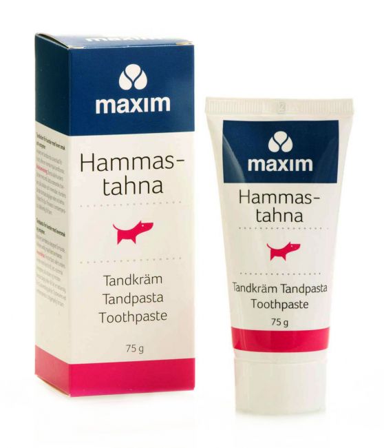Maxim koiran hammastahna 75 g